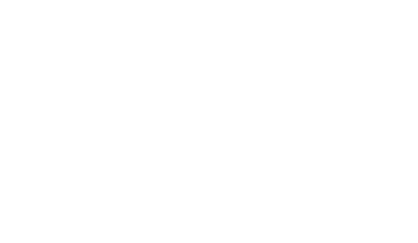 HFB srl